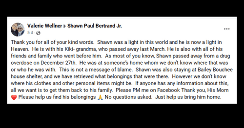 Valerie Wellner's grieved her son social media (Facebook)
