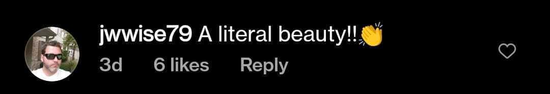 A user jwwise79 said she is beautiful (_paige.renee/Instagram)