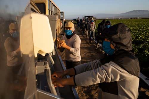 Farm laborers with Fresh Harvest wash their hands before work on April 28, 2020 in Greenfield, California. They practice social distancing, and receive masks, gloves, hair nets and aprons. Fresh Harvest is the one of the largest employers of people using the H-2A temporary agricultural worker visa for labor, harvesting and staffing in the United States. The company is implementing strict health and safety initiatives for their workers during the coronavirus pandemic and are trying a number of new techniques to enhance safety in the field as well as in work accommodations. Employees have their temperature taken daily and are also asked a series of questions about how they feel. Despite current record unemployment rates in the U.S. due to COVID-19-related layoffs, there have been few applications to do this kind of work despite extensive mandatory advertising by companies such as Fresh Harvest.