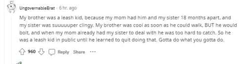 (Reddit/UngovernableBrat)