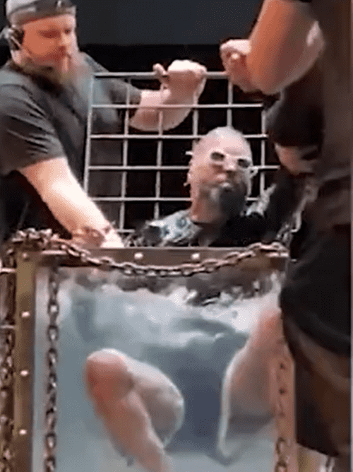 Screenshot from DailyMail