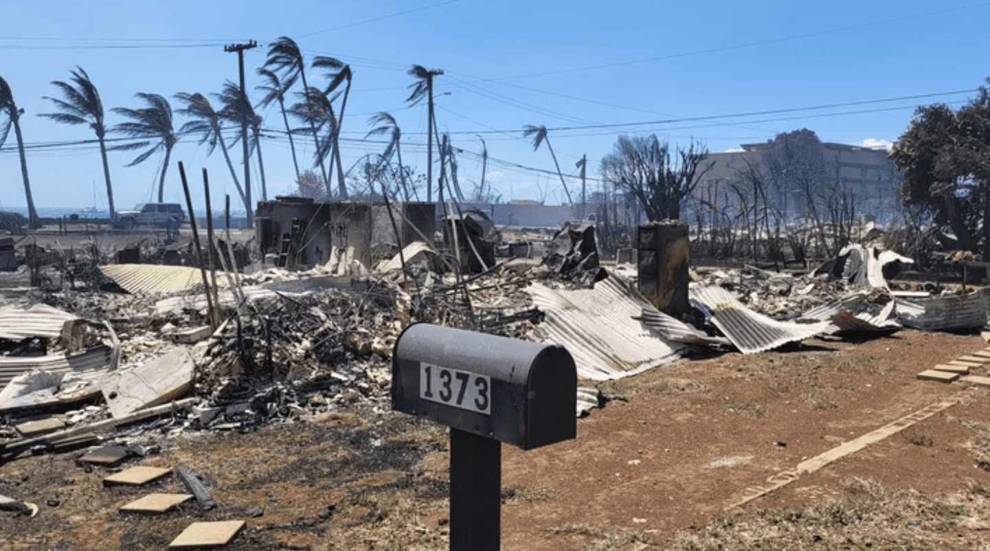 The Maui wildfires left behind a trail of destruction in the coastal town of Lahaina (GoFundMe)