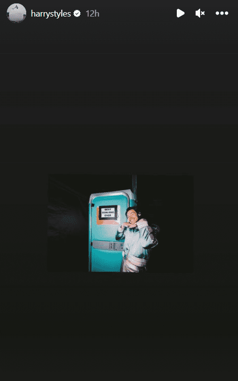 Harry Styles uploaded a modified photo of himself next to the sign that read, 'BEST SCHLONG EVER' (@harrystyles/Instagram)