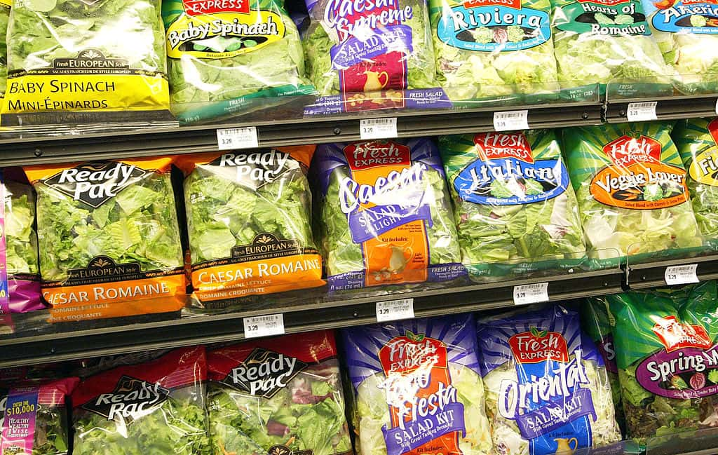 Contaminated salad mix leaves over 200 people across 8 states sick with