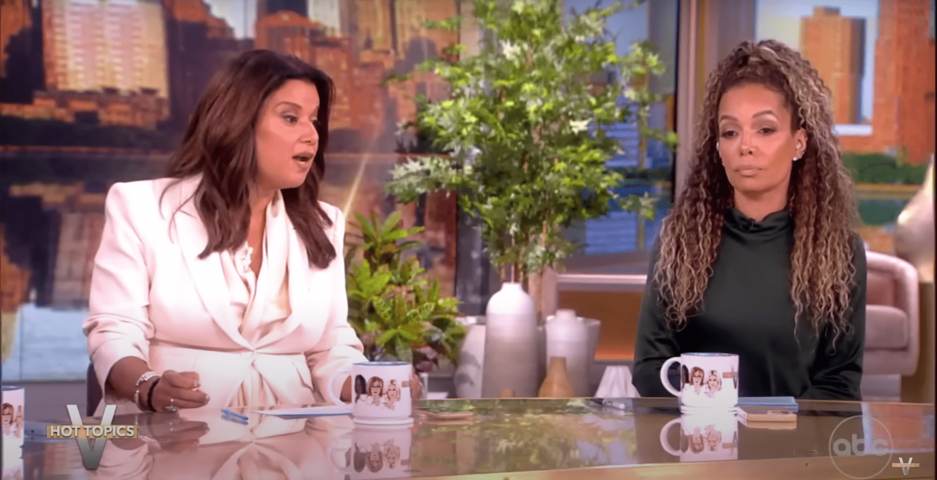 Ana Navarro snaps at Sunny Hostin mid-segment (TheView/YouTube)