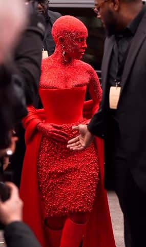 Doja Cat in her stunning Paris Fashion Week attire ( Schiaparelli/ Instagram)