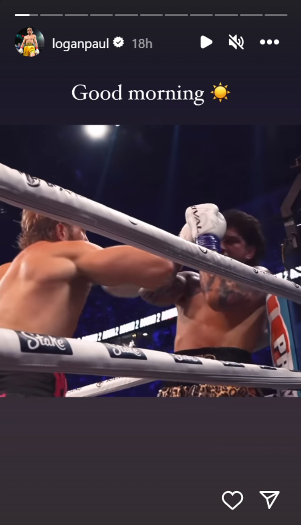 A screenshot of Logan Paul's IG story (@loganpaul/Instagram)