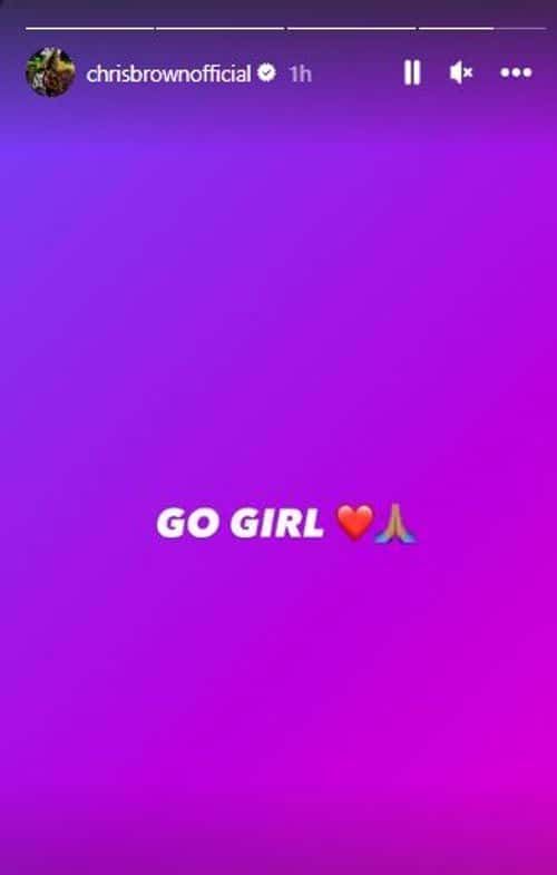 Chris Brown wrote 'Go Girl' on his stories (Instagram/ Chris Brown)