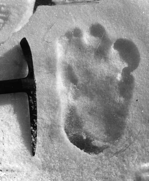 The footprint of the Abominable Snowman, taken near Mount Everest.