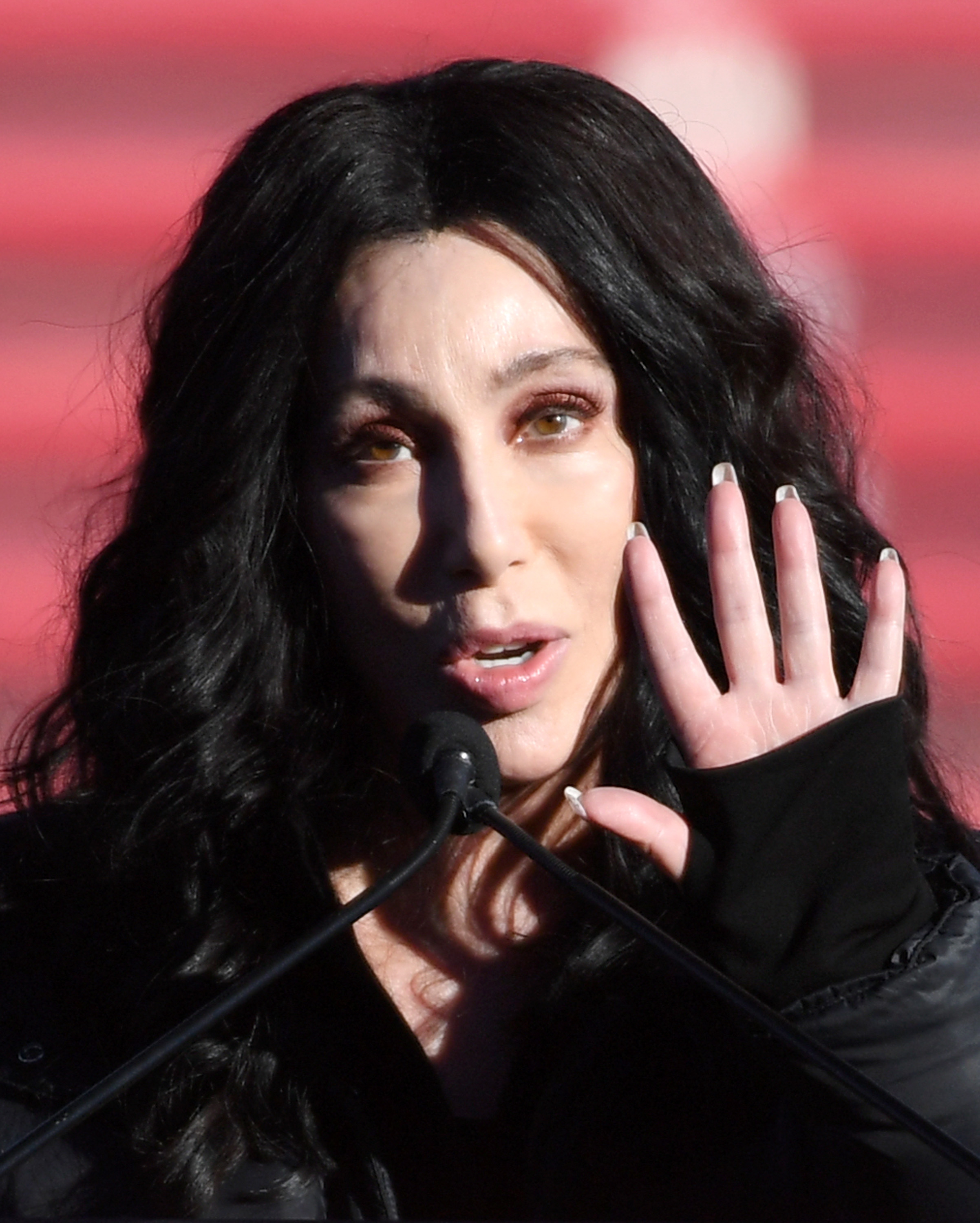 Cher (Source: Getty Images)