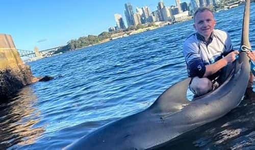 James Murray, another angler who was also famous for reeling out a bull shark (Facebook)