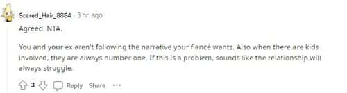 'When there are kids involved, they are always number one,' added a user (ReddIt/ Scared Hair 8884)