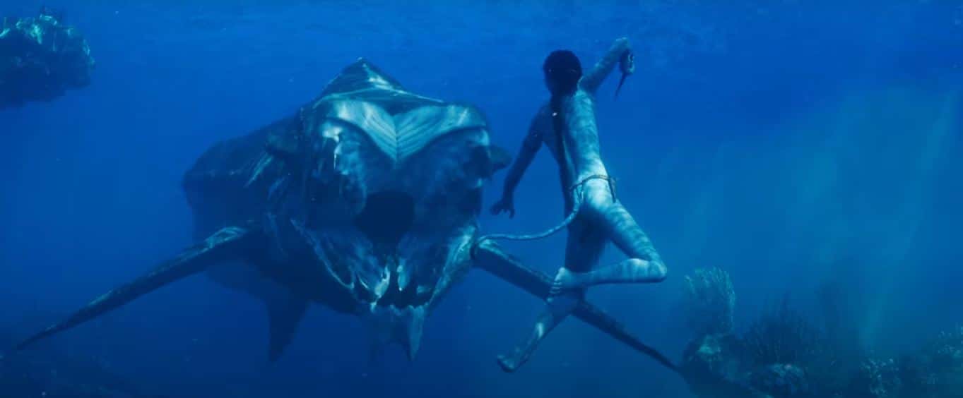 A still from the new 'Avatar: The Way of Water' trailer (YouTube/@Avatar)