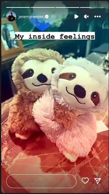 Renner shares a picture of two stuffed sloth toys with a caption 'My inside feelings' on his Instagram stories (@jeremyrenner/Instagram)