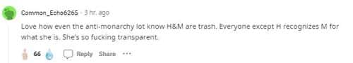 'She is so f**ing transparent' ( ReddIt/ Common_Echo6265)